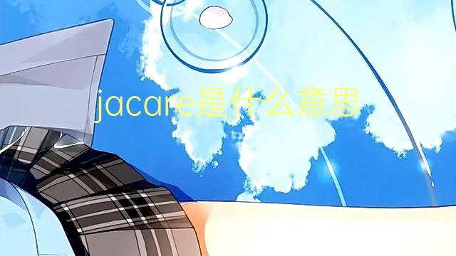 jacare是什么意思 jacare的翻译、读音、例句、中文解释