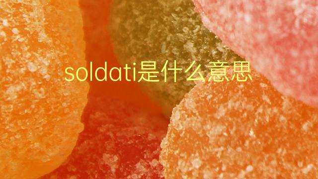 soldati是什么意思 soldati的翻译、读音、例句、中文解释