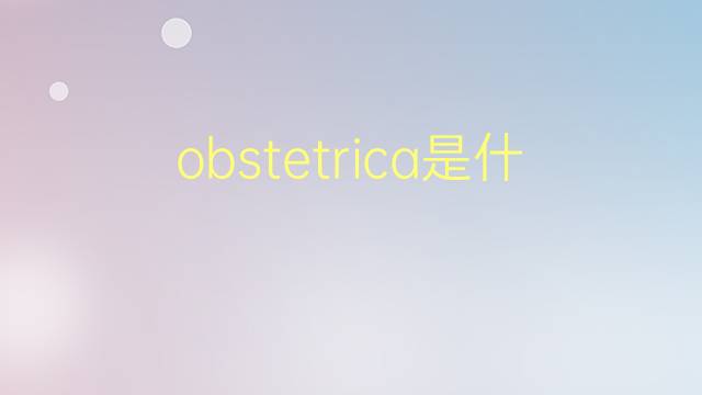 obstetrica是什么意思 obstetrica的翻译、读音、例句、中文解释