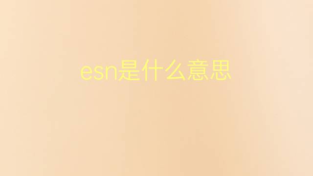 esn是什么意思 esn的翻译、读音、例句、中文解释