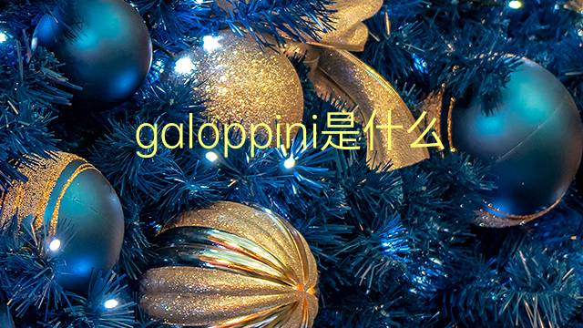 galoppini是什么意思 galoppini的翻译、读音、例句、中文解释