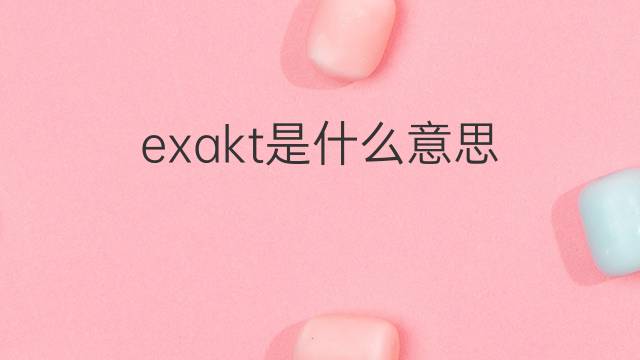 exakt是什么意思 exakt的翻译、读音、例句、中文解释