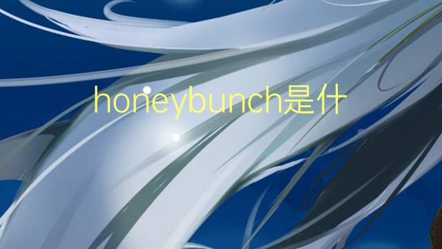 honeybunch是什么意思 honeybunch的翻译、读音、例句、中文解释