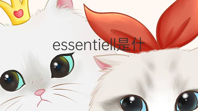 essentiell是什么意思 essentiell的翻译、读音、例句、中文解释