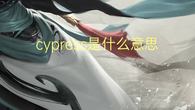 cypress是什么意思 cypress的翻译、读音、例句、中文解释