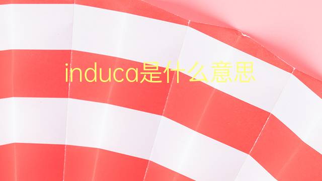 induca是什么意思 induca的翻译、读音、例句、中文解释