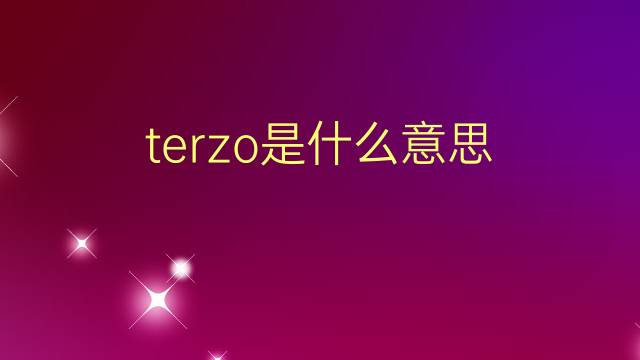 terzo是什么意思 terzo的翻译、读音、例句、中文解释