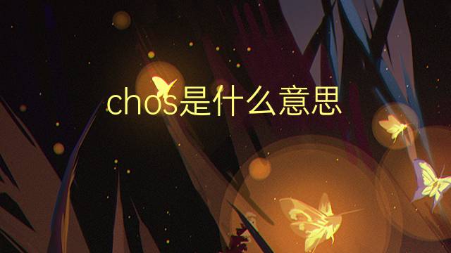 chos是什么意思 chos的翻译、读音、例句、中文解释