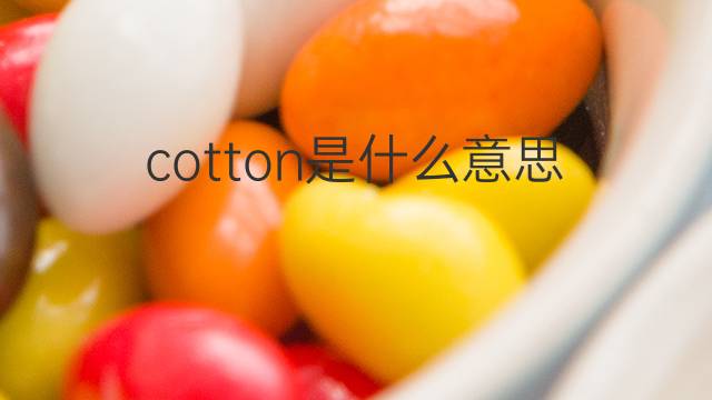 cotton是什么意思 cotton的翻译、读音、例句、中文解释