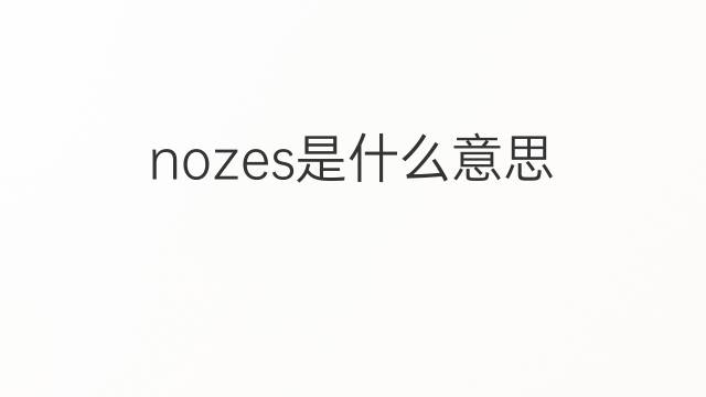 nozes是什么意思 nozes的翻译、读音、例句、中文解释