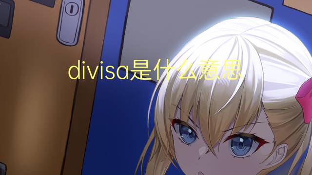 divisa是什么意思 divisa的翻译、读音、例句、中文解释