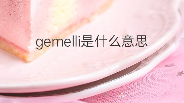 gemelli是什么意思 gemelli的翻译、读音、例句、中文解释