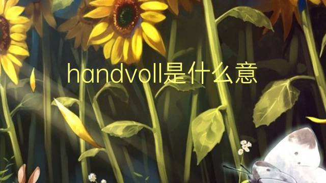 handvoll是什么意思 handvoll的翻译、读音、例句、中文解释