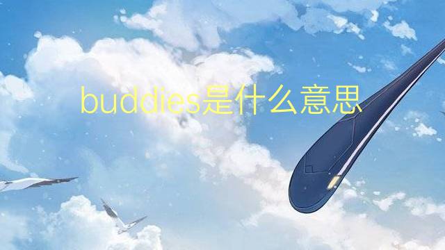 buddies是什么意思 buddies的翻译、读音、例句、中文解释