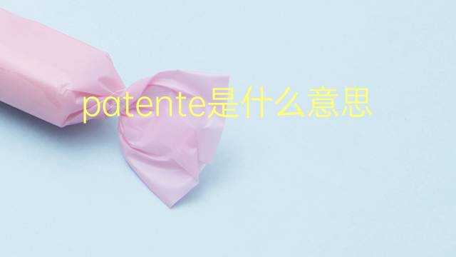 patente是什么意思 patente的翻译、读音、例句、中文解释