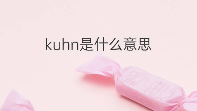 kuhn是什么意思 kuhn的翻译、读音、例句、中文解释