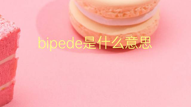 bipede是什么意思 bipede的翻译、读音、例句、中文解释