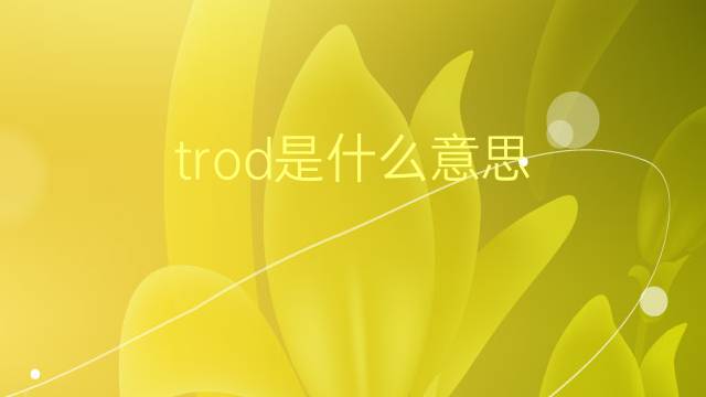 trod是什么意思 trod的翻译、读音、例句、中文解释