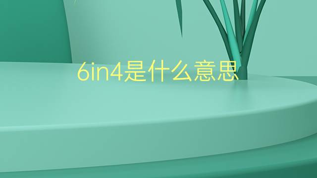 6in4是什么意思 6in4的翻译、读音、例句、中文解释