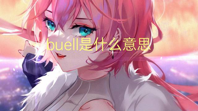 buell是什么意思 buell的翻译、读音、例句、中文解释