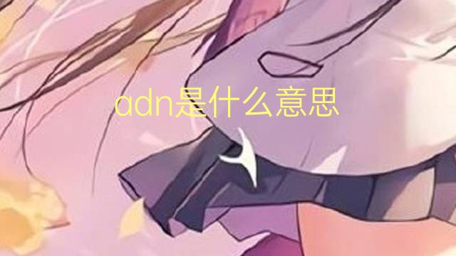 adn是什么意思 adn的翻译、读音、例句、中文解释