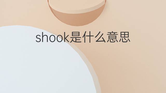 shook是什么意思 shook的翻译、读音、例句、中文解释