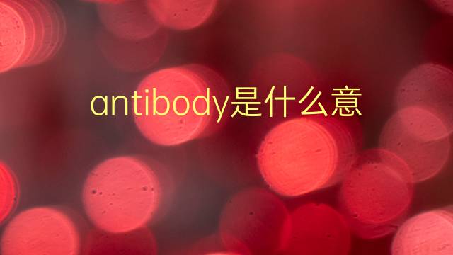 antibody是什么意思 antibody的翻译、读音、例句、中文解释