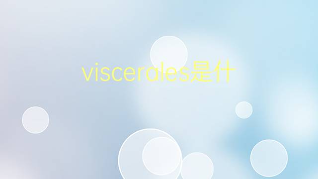 viscerales是什么意思 viscerales的翻译、读音、例句、中文解释