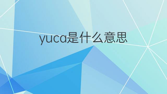 yuca是什么意思 yuca的翻译、读音、例句、中文解释