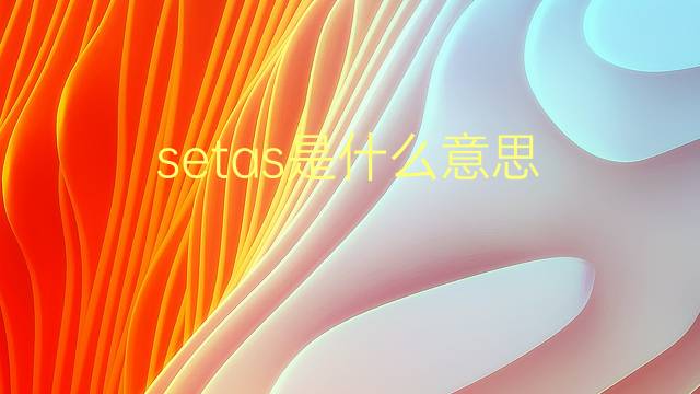 setas是什么意思 setas的翻译、读音、例句、中文解释