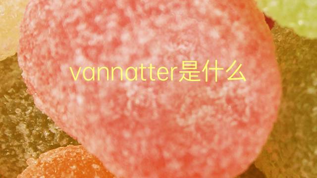 vannatter是什么意思 vannatter的翻译、读音、例句、中文解释