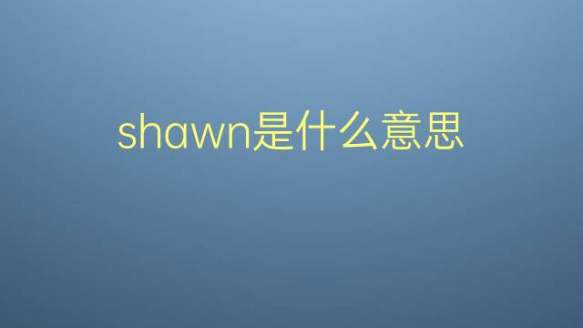 shawn是什么意思 shawn的翻译、读音、例句、中文解释