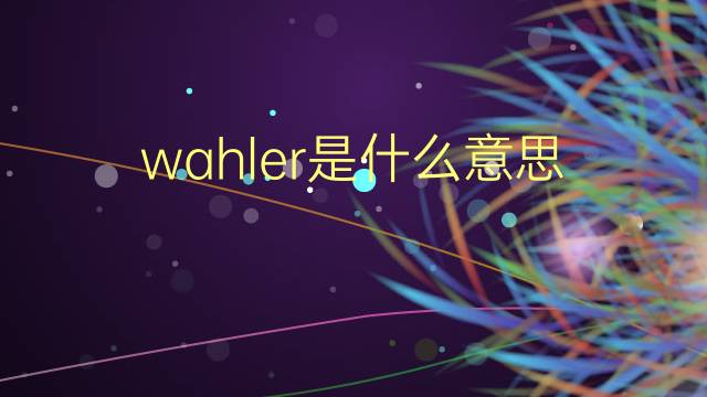 wahler是什么意思 wahler的翻译、读音、例句、中文解释