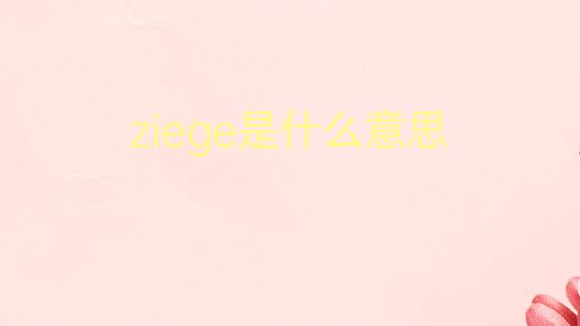 ziege是什么意思 ziege的翻译、读音、例句、中文解释