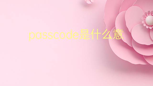 passcode是什么意思 passcode的翻译、读音、例句、中文解释