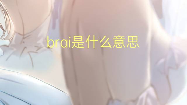 brai是什么意思 brai的翻译、读音、例句、中文解释