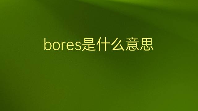 bores是什么意思 bores的翻译、读音、例句、中文解释