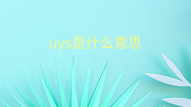 uys是什么意思 uys的翻译、读音、例句、中文解释