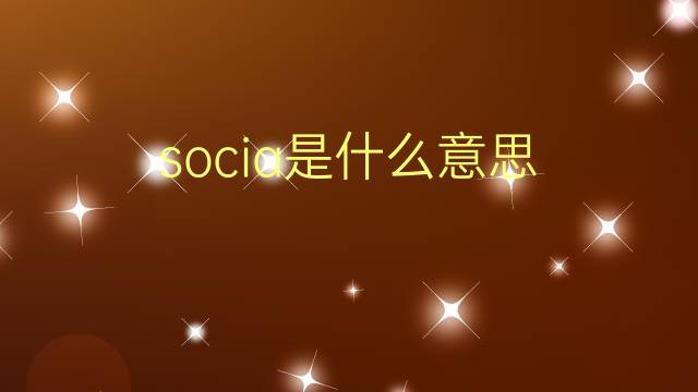 socia是什么意思 socia的翻译、读音、例句、中文解释