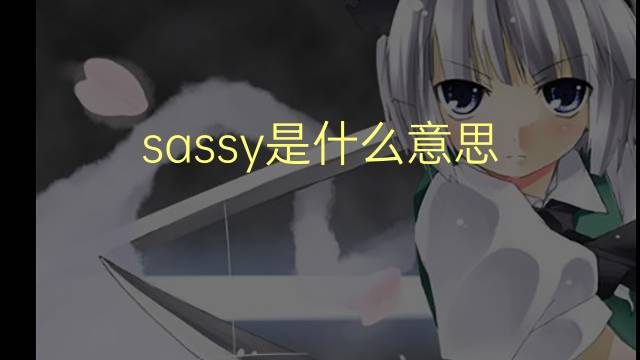 sassy是什么意思 sassy的翻译、读音、例句、中文解释