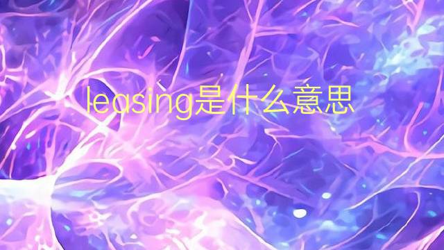 leasing是什么意思 leasing的翻译、读音、例句、中文解释