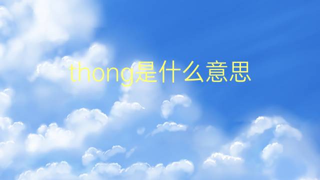 thong是什么意思 thong的翻译、读音、例句、中文解释