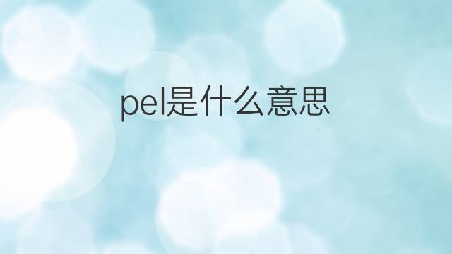 pel是什么意思 pel的翻译、读音、例句、中文解释