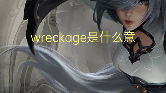 wreckage是什么意思 wreckage的翻译、读音、例句、中文解释