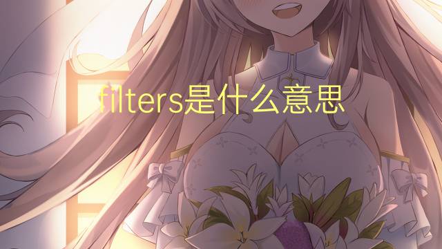 filters是什么意思 filters的翻译、读音、例句、中文解释