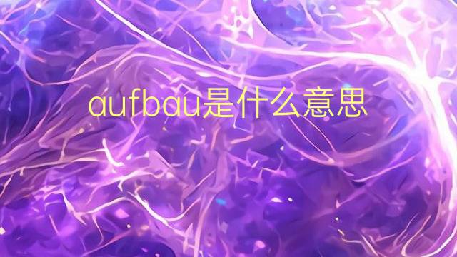 aufbau是什么意思 aufbau的翻译、读音、例句、中文解释