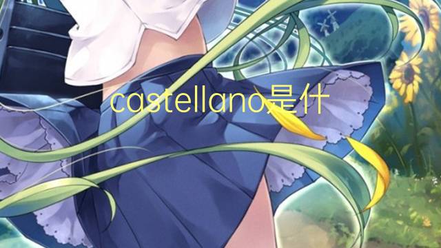 castellano是什么意思 castellano的翻译、读音、例句、中文解释