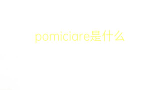 pomiciare是什么意思 pomiciare的翻译、读音、例句、中文解释