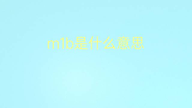 m1b是什么意思 m1b的翻译、读音、例句、中文解释