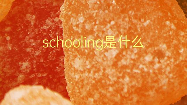 schooling是什么意思 schooling的翻译、读音、例句、中文解释